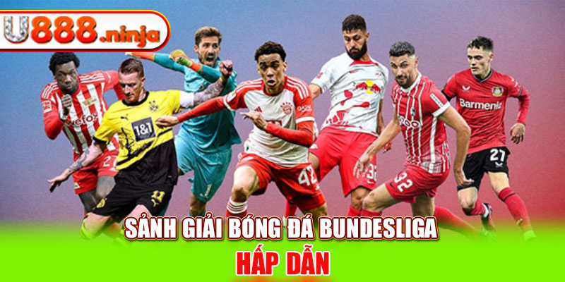 sảnh giải bóng đá Bundesliga hấp dẫn