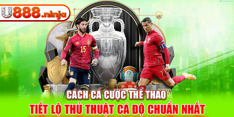 Cách cá cược thể thao - Tiết lộ thủ thuật cá độ chuẩn nhất 